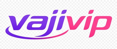 vajivip logo